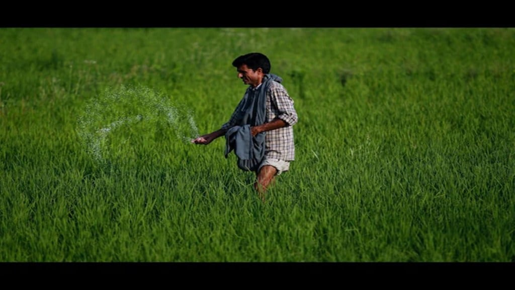 fertilizer, stocks, monsoon, Paradeep Phosphates, FACT, shares fertilizer, stocks, monsoon, Paradeep Phosphates, FACT, shares