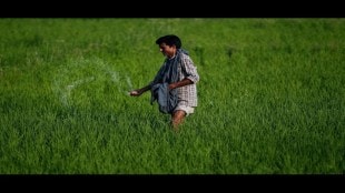 fertilizer, stocks, monsoon, Paradeep Phosphates, FACT, shares