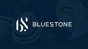 BlueStone, SEBI, IPO, market, Kalaari Capital Partners, Saama Capital, Hero Enterprise Partner Ventures, IIFL