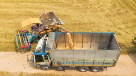 Rice exports hit record $ 12 billion Rice exports hit record $ 12 billion