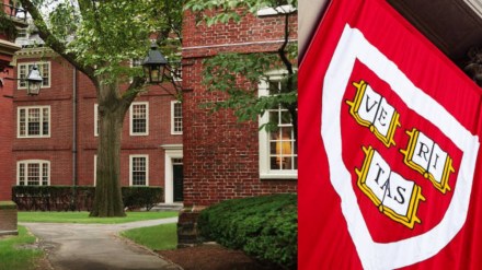 Harvard apologises, vows reform after reports reveal antisemitism and Islamophobia Harvard apologises, vows reform after reports reveal antisemitism and Islamophobia