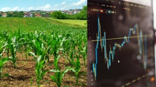 5 undervalued agriculture stocks poised for long-term growth