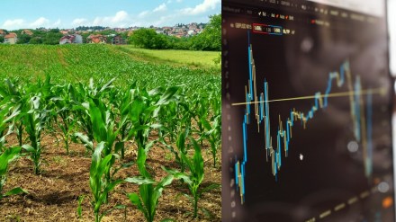5 undervalued agriculture stocks poised for long-term growth