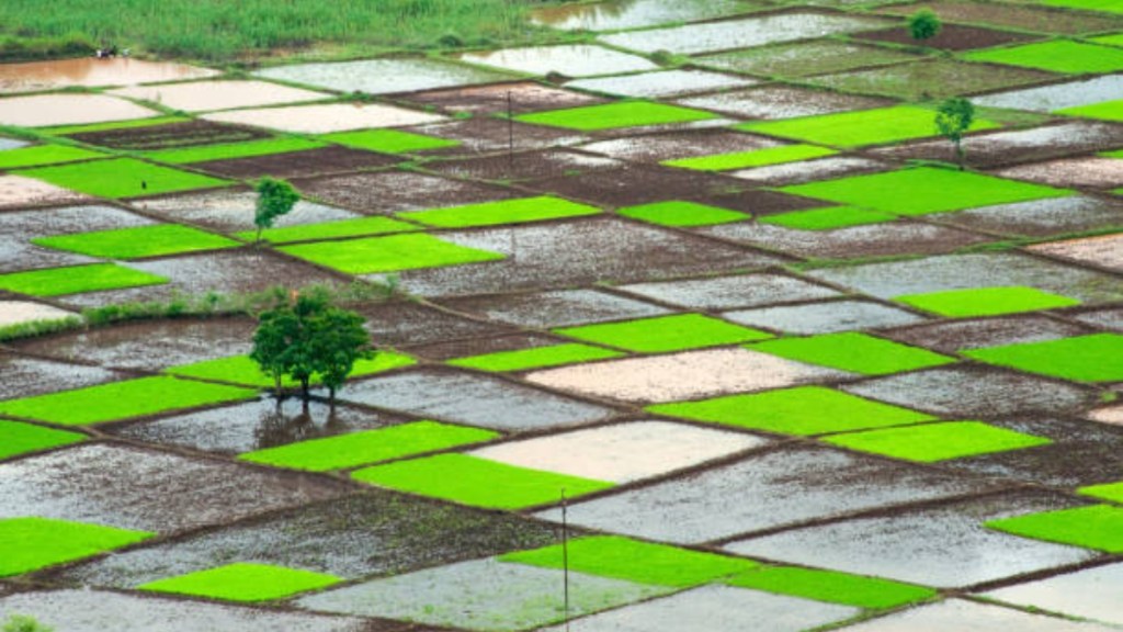 IMD forecasts “above-normal” monsoon for second year in a row