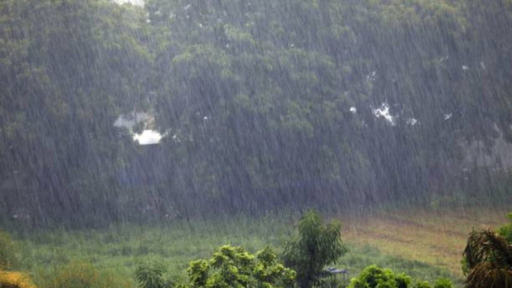 Tidings of good rains