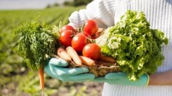 Govt to roll out e-NAM 2.0 to push inter-state trade