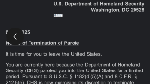 The immigration attorney alleged that her wife, a US citizen, was instructed by the Trump administration to leave the country immediately, with the reason given that her parole had been rejected. Interestingly, her wife had never applied for one.