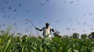 NITI Aayog's Ramesh Chand advocates for GM crops. (Image Source: Reuters)