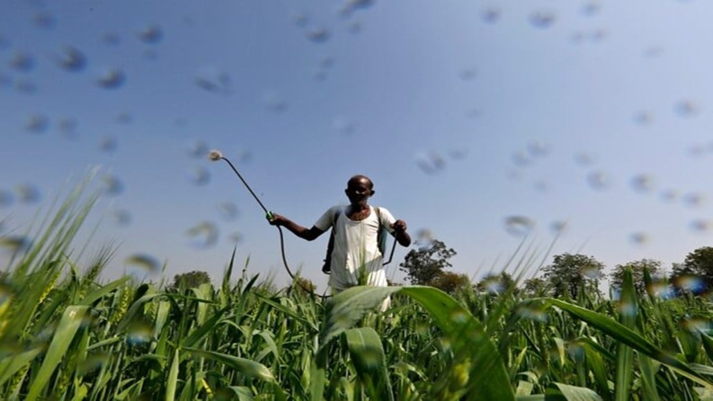 NITI Aayog's Ramesh Chand advocates for GM crops. (Image Source: Reuters) NITI Aayog's Ramesh Chand advocates for GM crops. (Image Source: Reuters)