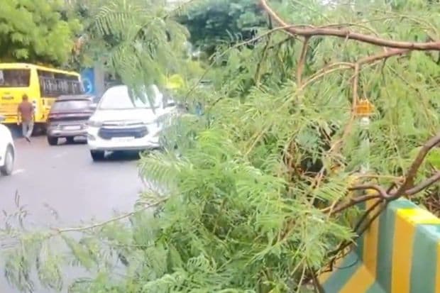 Visuals from across Delhi NCR emerged on social media. While the rains may come as a relief to the scorching heat, the disrupting weather might carry a warning for rapid climate change. (Image: PTI)