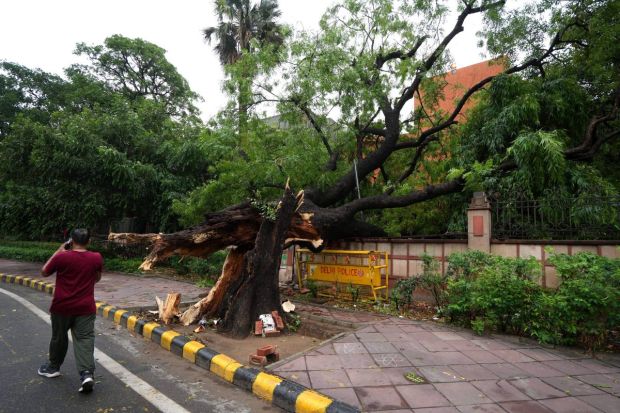 Trees uprooted, cars submerged and life comes to a sudden halt as Delhi drowns in rains. Gusty winds cause damage to infrastructure while water clogs the roads - is this an early monsoon? (Image: PTI)