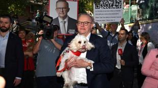 Australia Election, australia news, Anthony Albanese, donald trump, Anthony Albanese next Australia PM, Anthony Albanese next second term as PM, election, election news