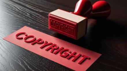 pti, ani copyright claim, youtubers, content creators, mohak mangal, youtube india, india news