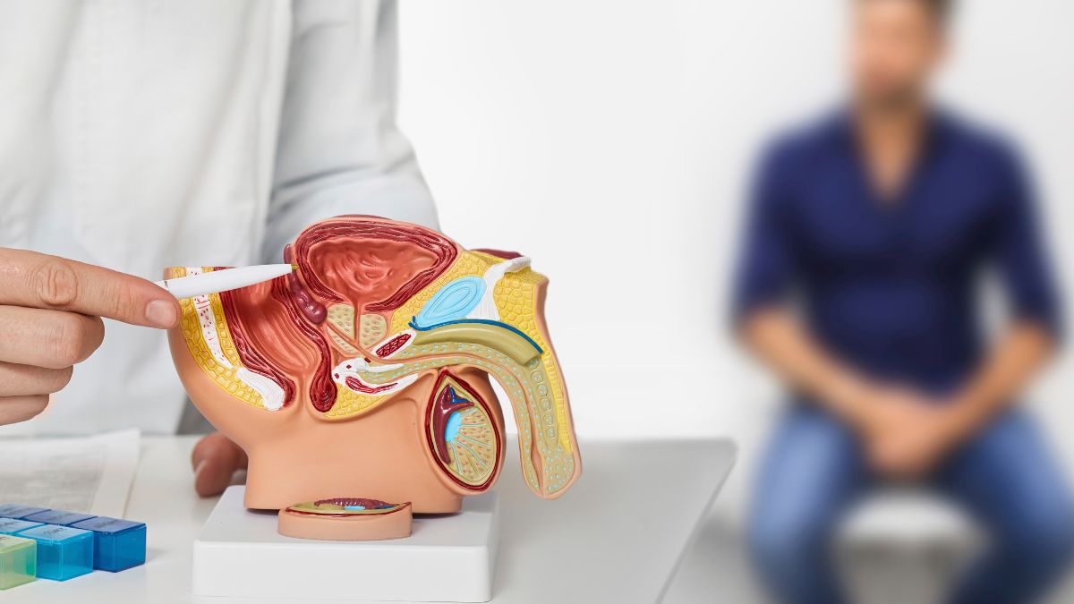 Prostate cancer ranks as the third leading cancer site among males in India, following lung cancer and mouth cancer. Prostate cancer ranks as the third leading cancer site among males in India, following lung cancer and mouth cancer.