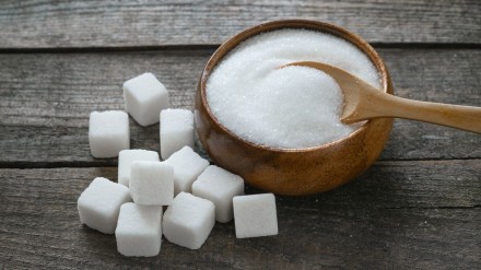 Sugar Industry, top sugar stocks in India,