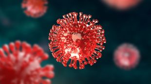 New COVID-19 wave in the making? Cases rise over 1200% in a week, 28 dead since January as new variants spread