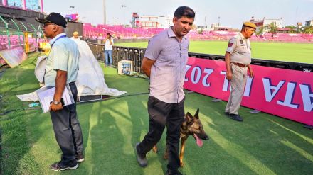 rr vs pbks match preview ipl 2025 resume