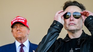 Elon Musk leaves Trump administration