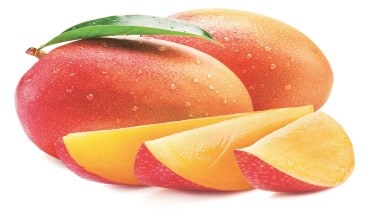 mangoes, Langra, Chausa, Dussehri, Alphonso, Banganapalli, Raspuri, Kesar