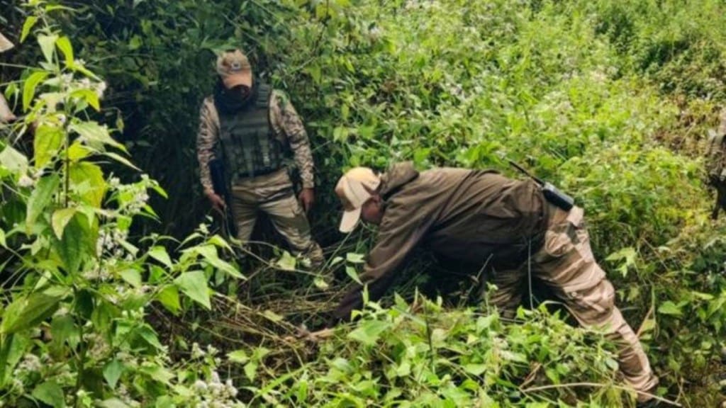 The operation is still in progress. (Representational image: PTI)