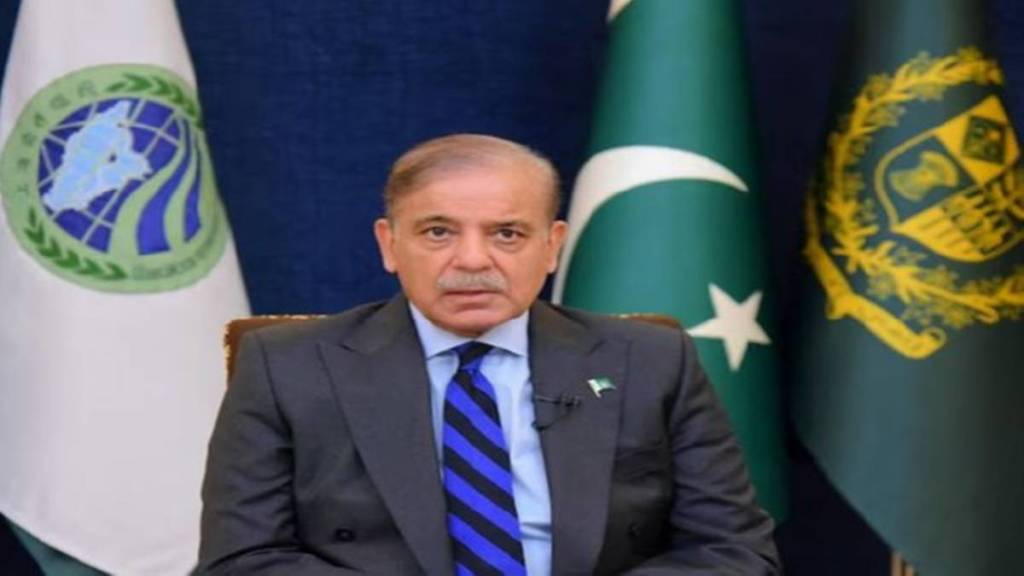 Pakistan PM Shehbaz Sharif confirms Indian missile strike Pakistan PM Shehbaz Sharif confirms Indian missile strike