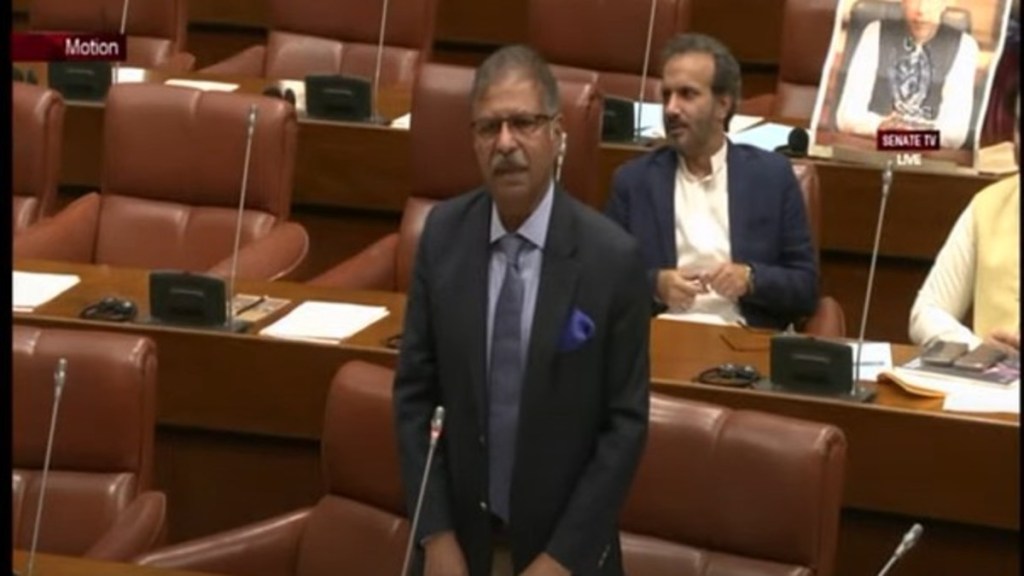 Syed Ali Zafar: Diffuse India's Water Stance or Face Famine. Image Source: Screengrab/ youtube (senate of pakistan)