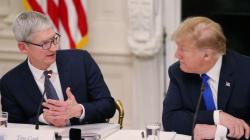 Tim Cook likely to step down next year: Meet the top contender for Apple’s CEO role