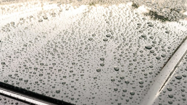 Water repelent coating