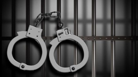 Andhra Pradesh, Telangana, Hyderabad, police, arrest. investigation, custody