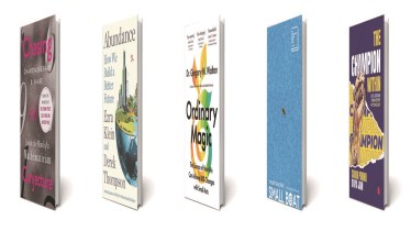 Small Boat, books, Chasing a Conjecture, Abundance, The Champion Within
