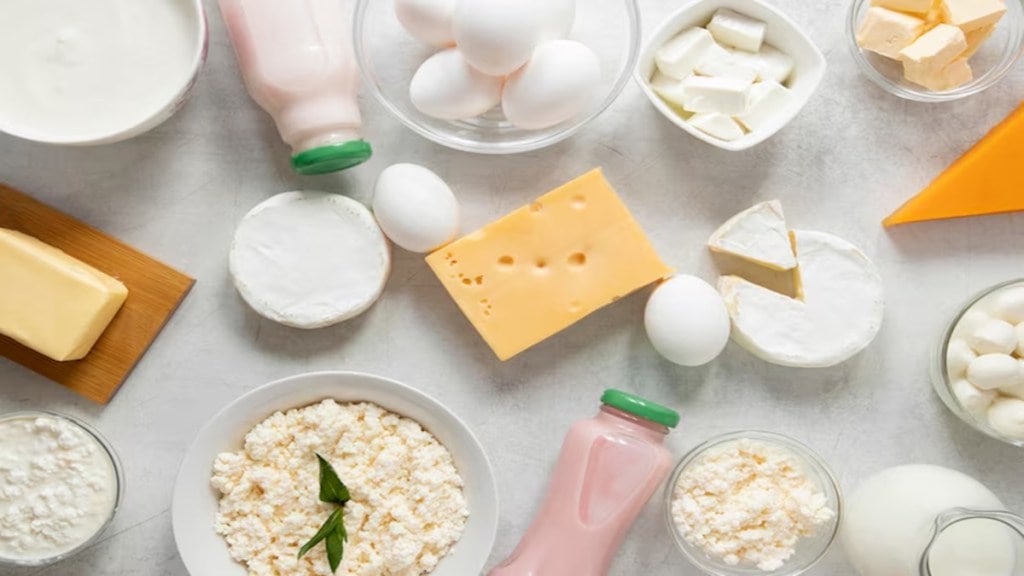 National Dairy Development Board, dairy products, economy. ice cream flavour, kulfis, cones, bar, curd, lassi National Dairy Development Board, dairy products, economy. ice cream flavour, kulfis, cones, bar, curd, lassi