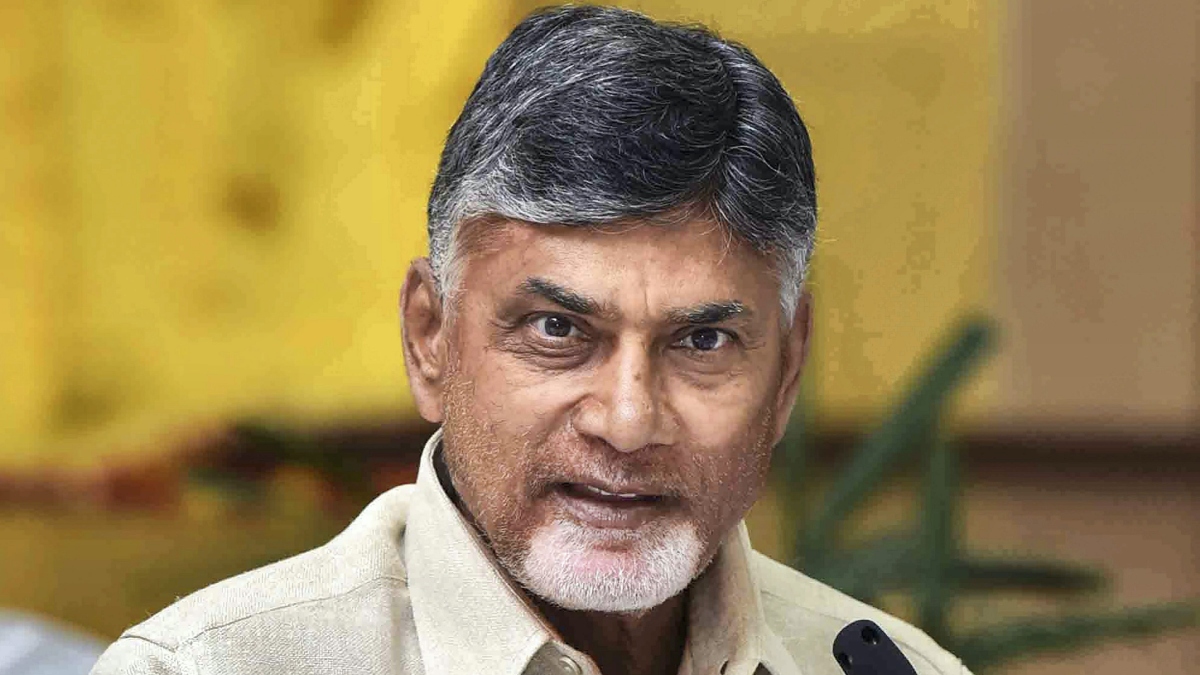 Nirmala Sitharaman, N Chandrababu Naidu, Arundhati Roy, BJP