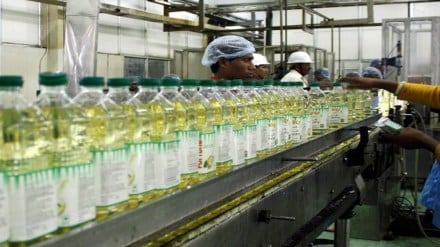 edible oil, oil, economy, palm, soybean, sunflower, NAFED, NCCF