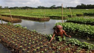 Building irrigation facilities and developing climate-resistant seeds are vital to reduce agriculture's dependence on the monsoon's variability. (Image Source: Reuters)
