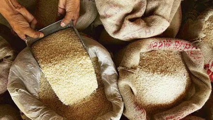 kharif crop, monsoon rainfall, fertilizer, Indus Waters Treaty, crop production kharif crop, monsoon rainfall, fertilizer, Indus Waters Treaty, crop production