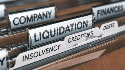 IBC, resolution plan, recoveries, liquidations, NCLT, CIRP, liquidation, Committee of Creditors, investor confidence