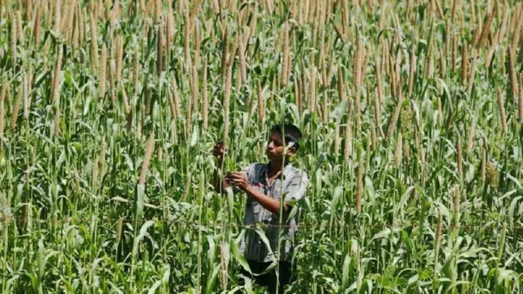 Industry, farmers relieved as FTA excludes dairy items, rice. (Image Source: Reuters) Industry, farmers relieved as FTA excludes dairy items, rice. (Image Source: Reuters)