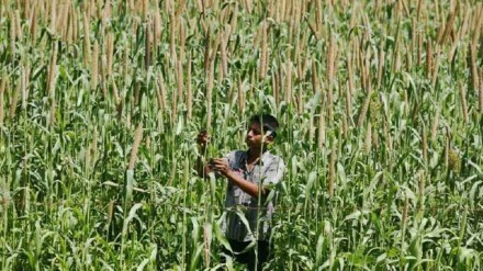 Industry, farmers relieved as FTA excludes dairy items, rice. (Image Source: Reuters)