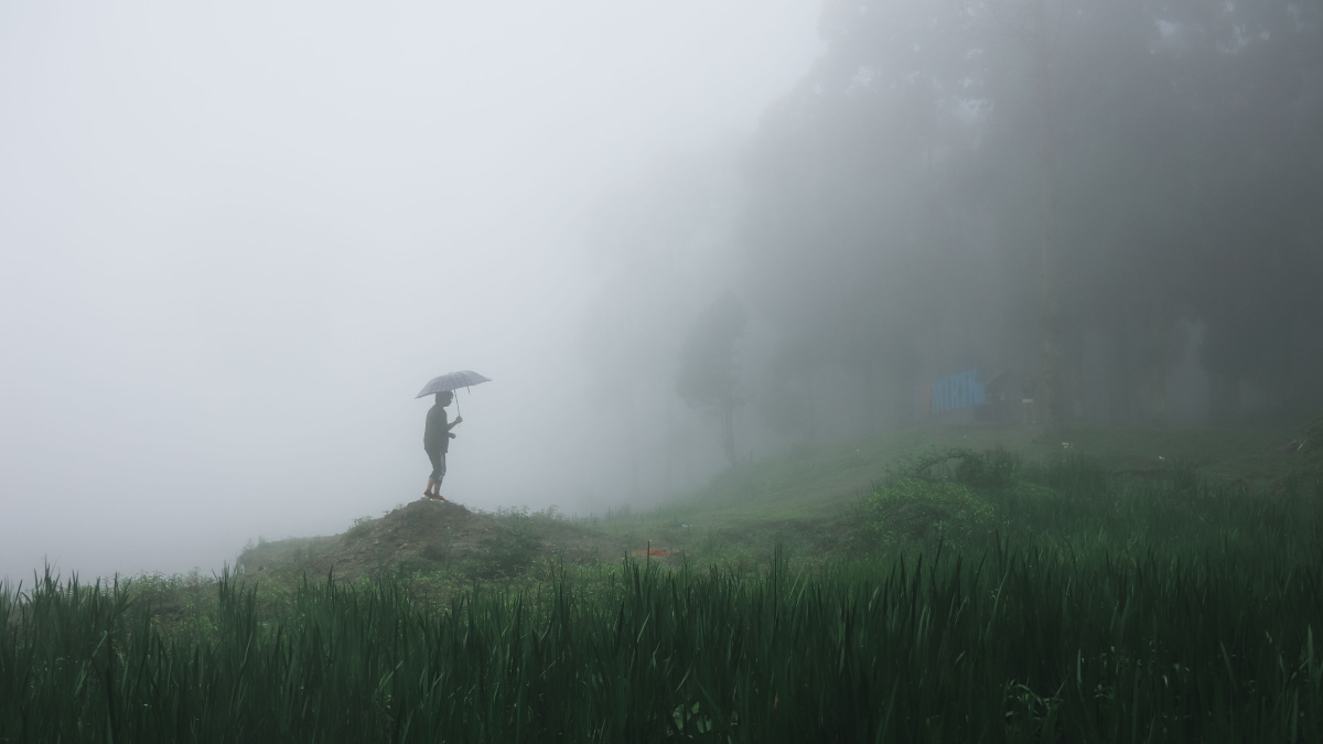 monsoon, kerala, IMD, weather, India, India Meteorological Department