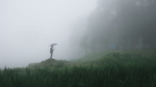 monsoon, kerala, IMD, weather, India, India Meteorological Department