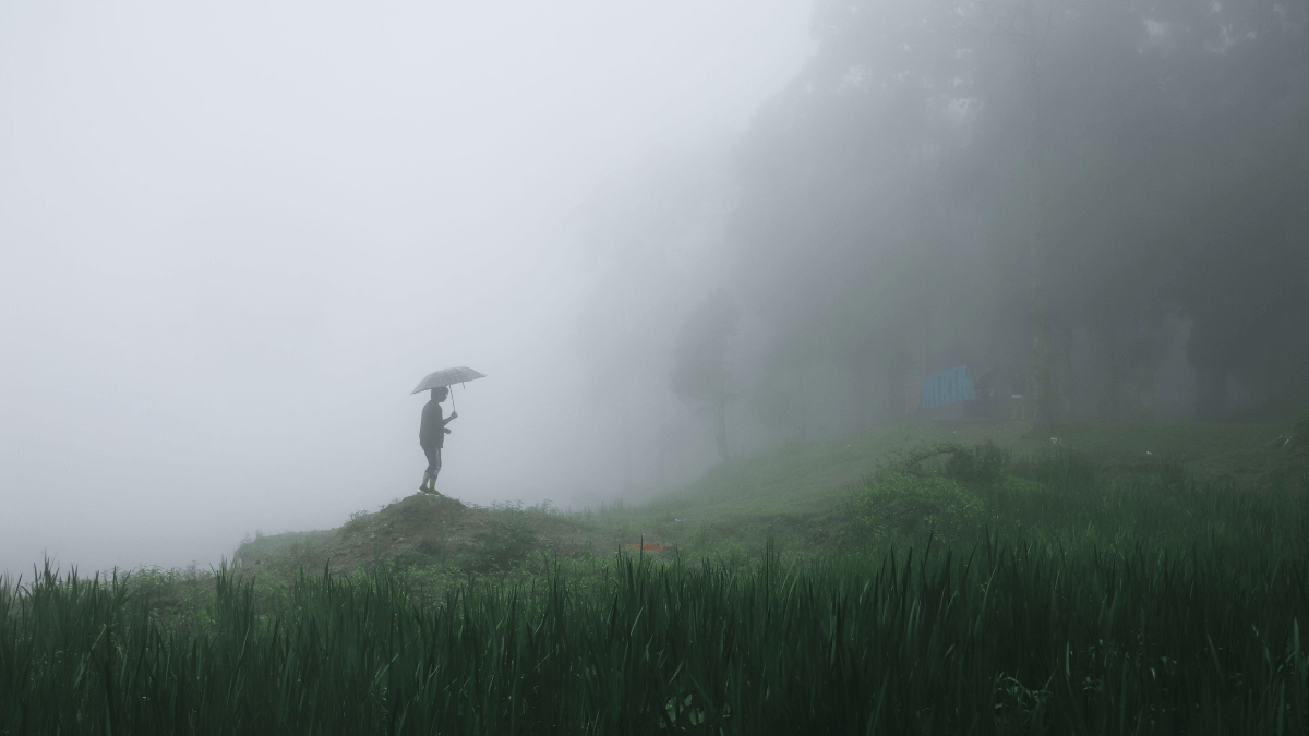 rainfall, rainfall surplus, monsoon, food inflation, RBI, Indian economy, rural demand, kharif crop, crop sowing, reservoir storage, economic growth rainfall, rainfall surplus, monsoon, food inflation, RBI, Indian economy, rural demand, kharif crop, crop sowing, reservoir storage, economic growth