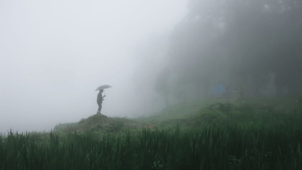 rainfall, rainfall surplus, monsoon, food inflation, RBI, Indian economy, rural demand, kharif crop, crop sowing, reservoir storage, economic growth