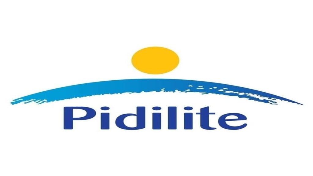 Dr Fixit, Pidilite Industries, industry, JSW Paints, Haisha, paints