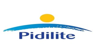 Dr Fixit, Pidilite Industries, industry, JSW Paints, Haisha, paints