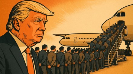 White House, Trump deportations. 100 men vs 1 gorilla White House, Trump deportations. 100 men vs 1 gorilla