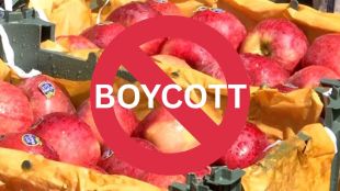 Boycott Turkey trends