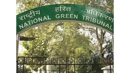 NGT Slams Delhi Jal Board over water contamination in Janakpuri homes; CPCB report reveals non-potable water. (Image Source: ANI) NGT Slams Delhi Jal Board over water contamination in Janakpuri homes; CPCB report reveals non-potable water. (Image Source: ANI)