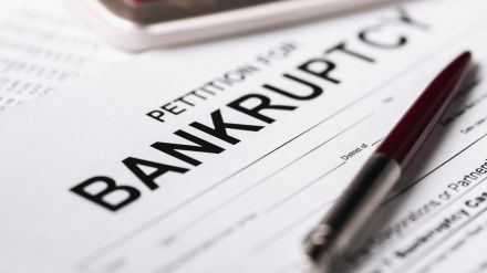 FirstCry, GlobalBees, Brainbees Solutions, Insolvency and Bankruptcy Code, insolvency petition, Kuber Mart Industries, interest, claim, legal advice, resignations