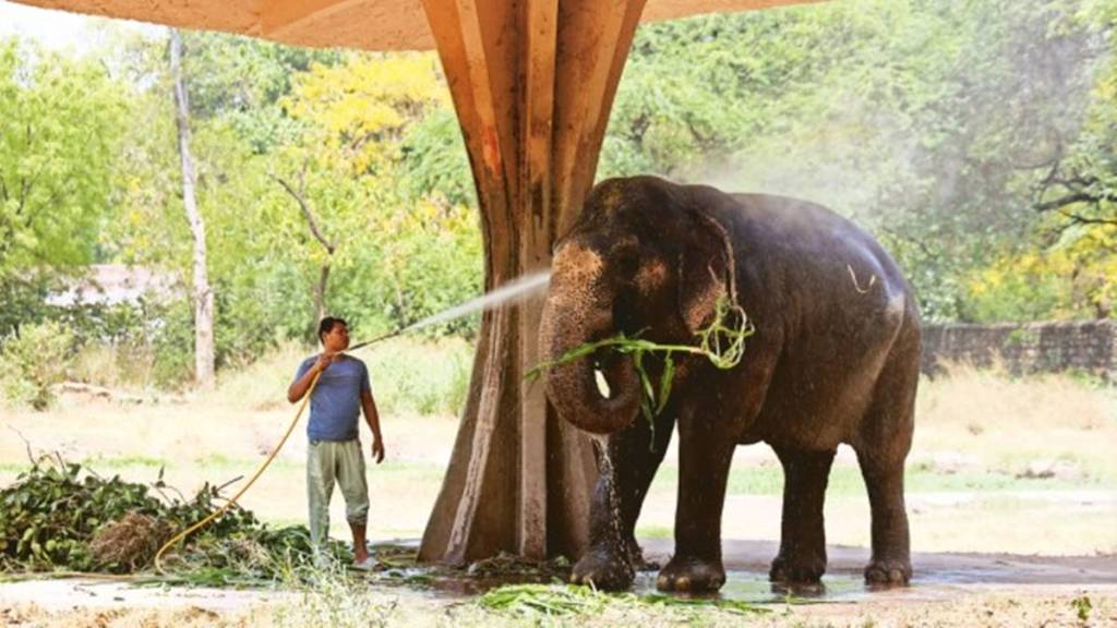 Delhi Zoo