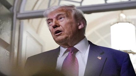 Donald Trump Donald Trump